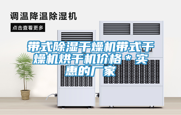 帶式除濕干燥機帶式干燥機烘干機價格＊實惠的廠家