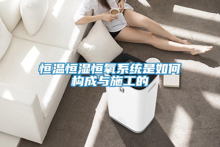 恒溫恒濕恒氧系統(tǒng)是如何構(gòu)成與施工的