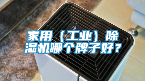 家用（工業）除濕機哪個牌子好？