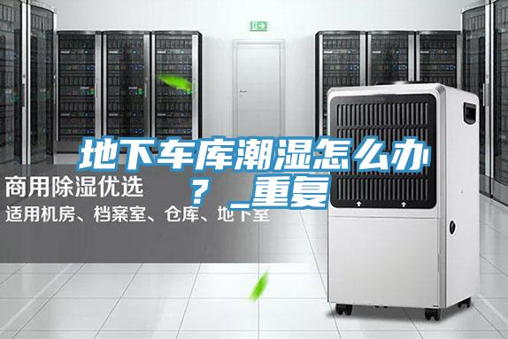地下車庫(kù)潮濕怎么辦?_重復(fù)