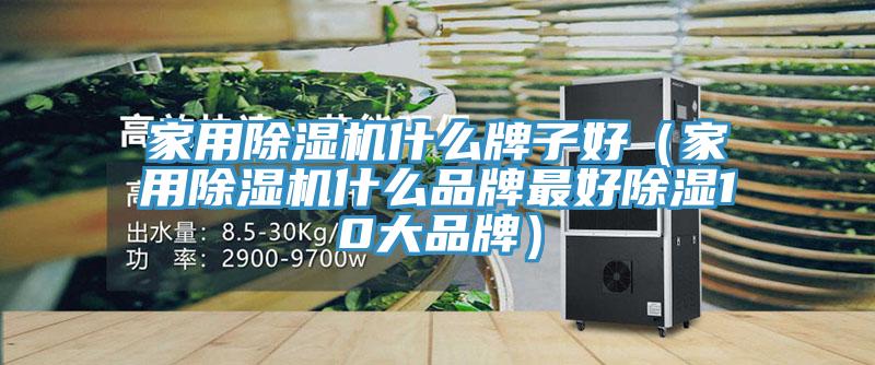 家用除濕機什么牌子好（家用除濕機什么品牌最好除濕10大品牌）