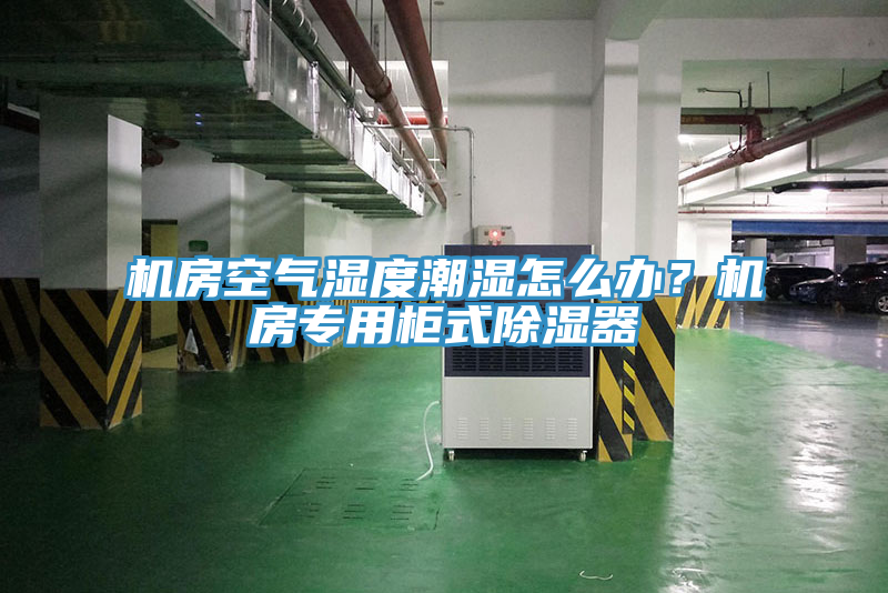 機房空氣濕度潮濕怎么辦？機房專用柜式除濕器