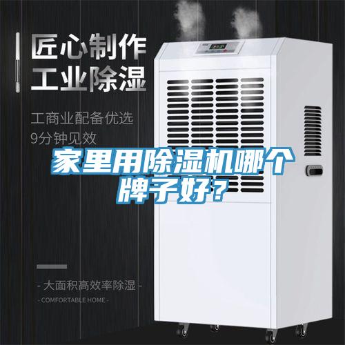 家里用除濕機(jī)哪個(gè)牌子好?