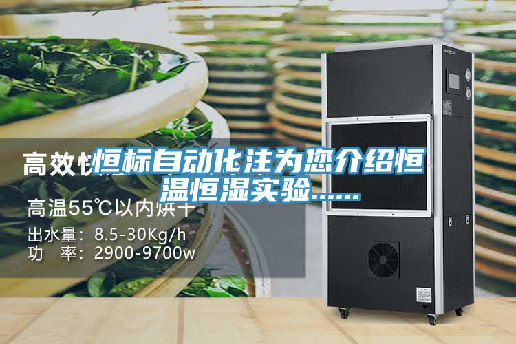 恒標自動化注為您介紹恒溫恒濕實驗......