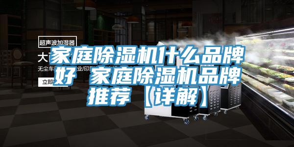 家庭除濕機(jī)什么品牌好 家庭除濕機(jī)品牌推薦【詳解】