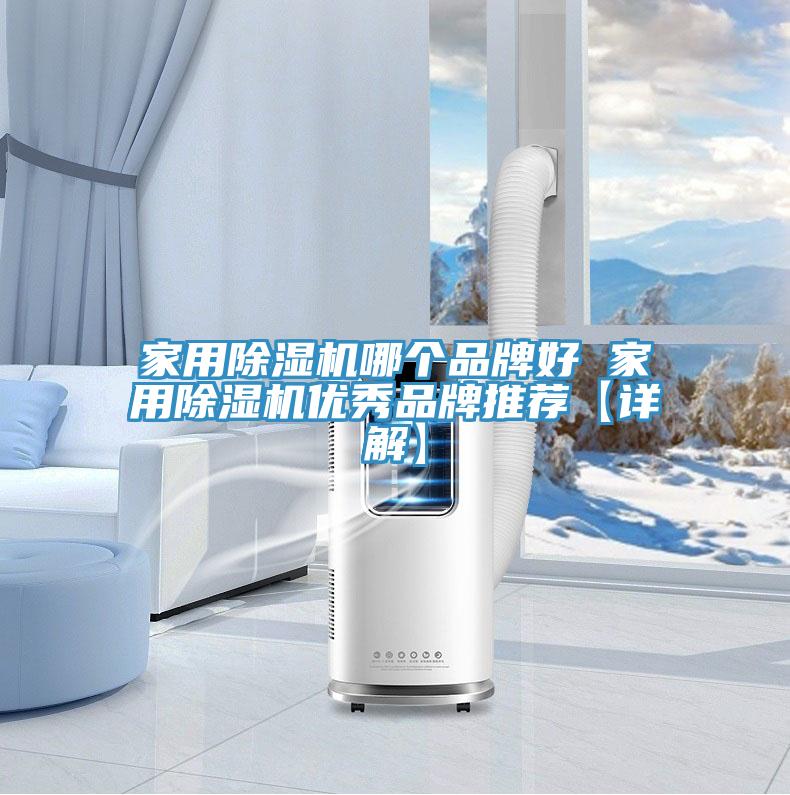 家用除濕機哪個品牌好 家用除濕機優秀品牌推薦【詳解】