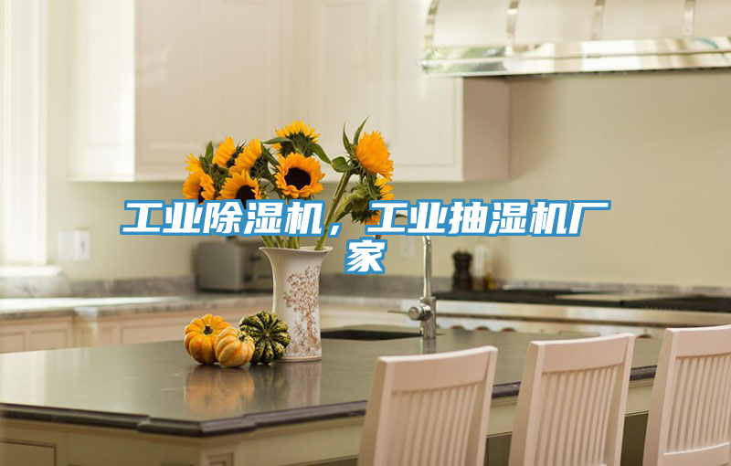 工業除濕機，工業抽濕機廠家