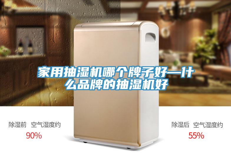 家用抽濕機哪個牌子好—什么品牌的抽濕機好