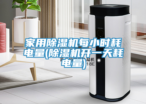 家用除濕機每小時耗電量(除濕機開一天耗電量)