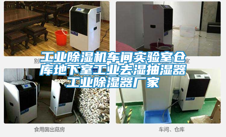工業除濕機車間實驗室倉庫地下室工業去濕抽濕器工業除濕器廠家