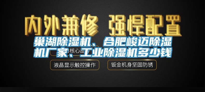 巢湖除濕機(jī)、合肥峻邁除濕機(jī)廠家、工業(yè)除濕機(jī)多少錢