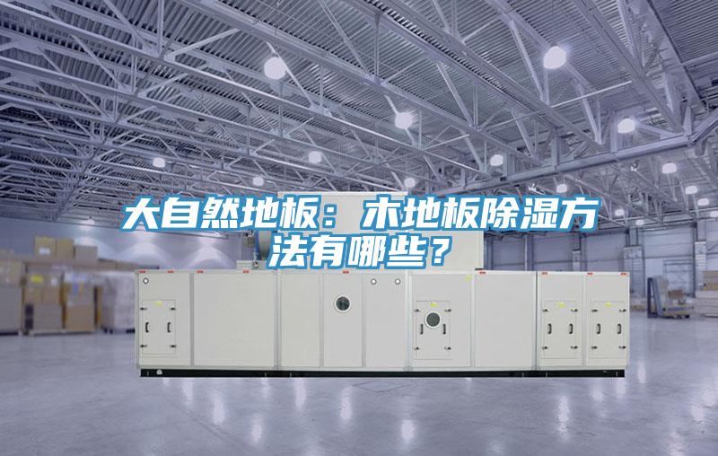 大自然地板：木地板除濕方法有哪些？
