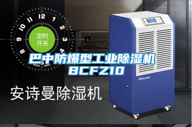 巴中防爆型工業除濕機 BCFZ10