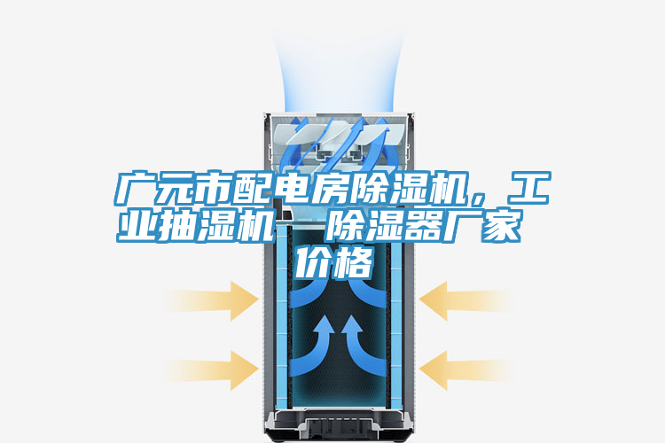 廣元市配電房除濕機，工業抽濕機  除濕器廠家 價格