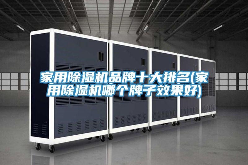 家用除濕機(jī)品牌十大排名(家用除濕機(jī)哪個(gè)牌子效果好)