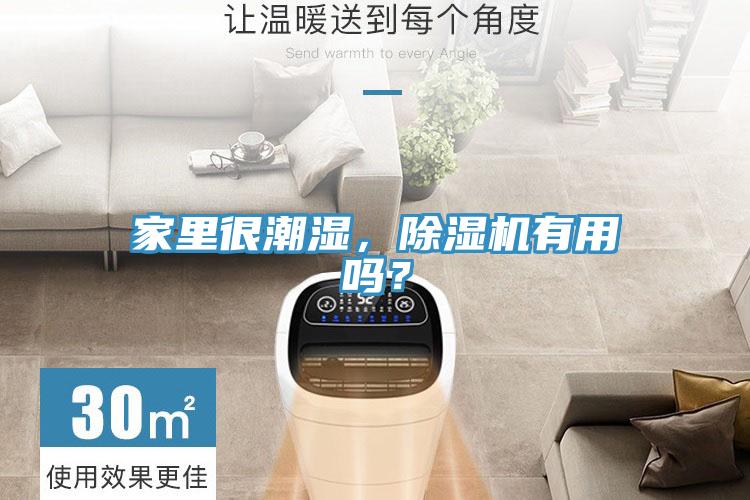 家里很潮濕，除濕機有用嗎？