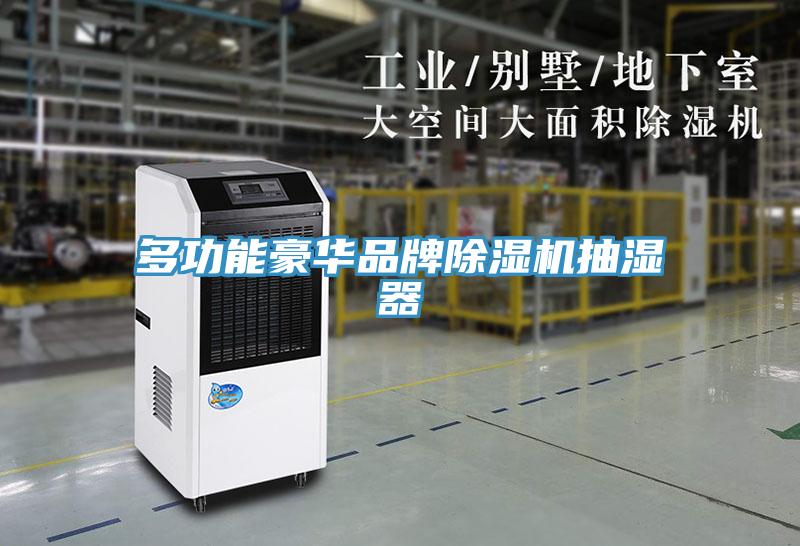 多功能豪華品牌除濕機(jī)抽濕器