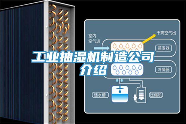 工業(yè)抽濕機(jī)制造公司介紹