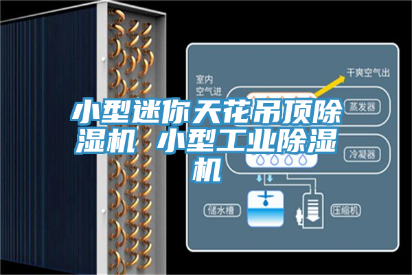 小型迷你天花吊頂除濕機 小型工業除濕機