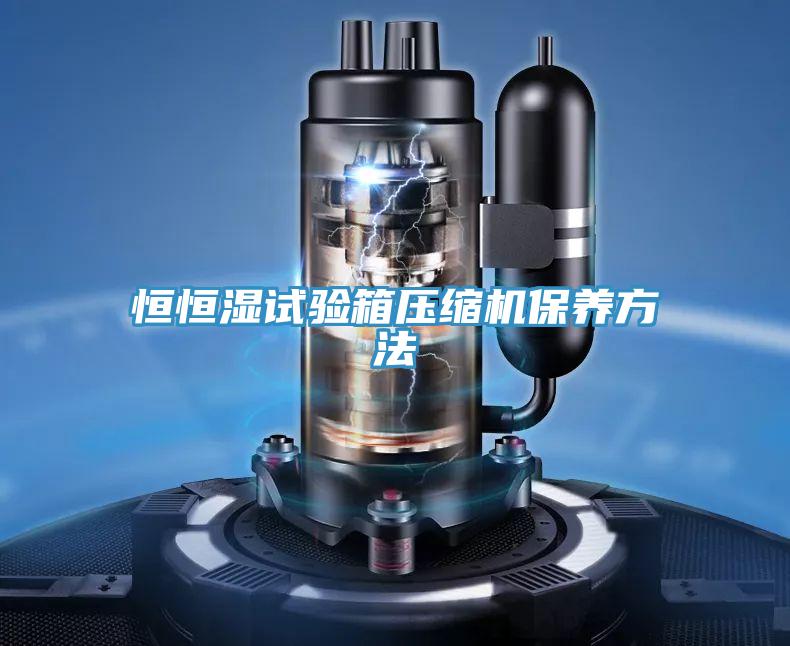 恒恒濕試驗箱壓縮機保養方法