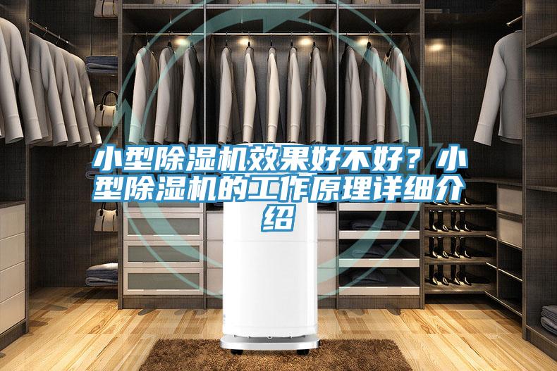 小型除濕機效果好不好？小型除濕機的工作原理詳細介紹