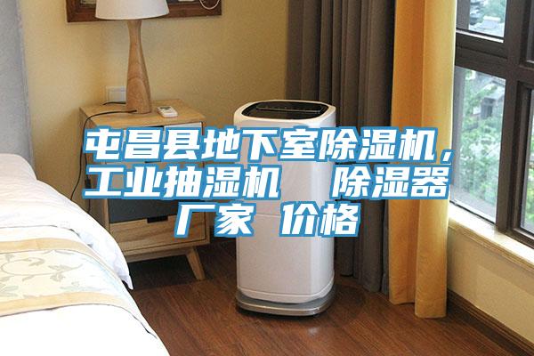 屯昌縣地下室除濕機，工業(yè)抽濕機  除濕器廠家 價格