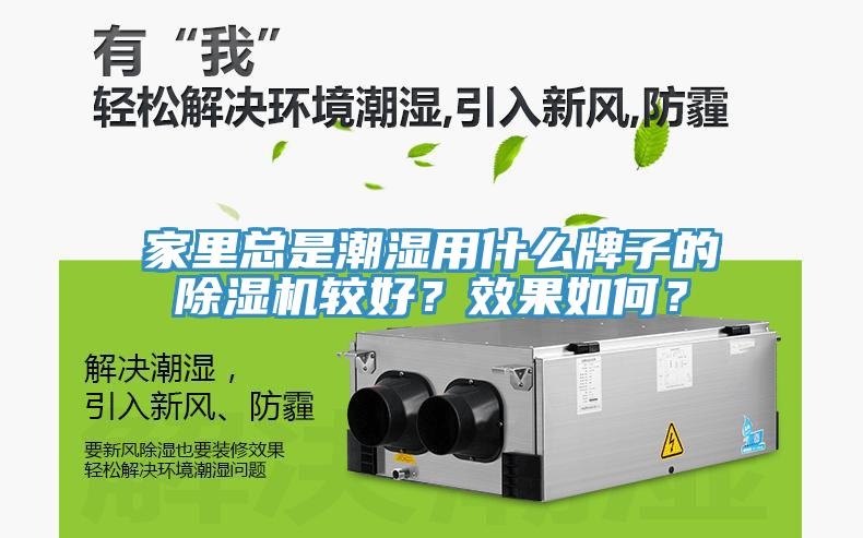 家里總是潮濕用什么牌子的除濕機較好？效果如何？