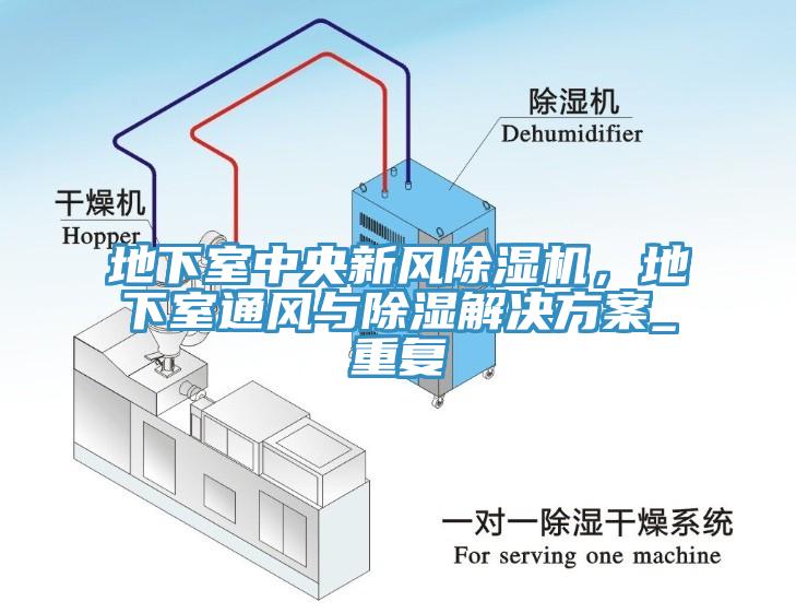 地下室中央新風除濕機，地下室通風與除濕解決方案_重復