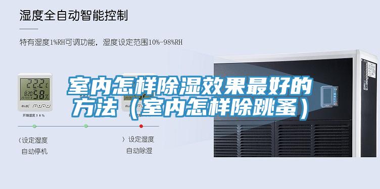 室內怎樣除濕效果最好的方法（室內怎樣除跳蚤）
