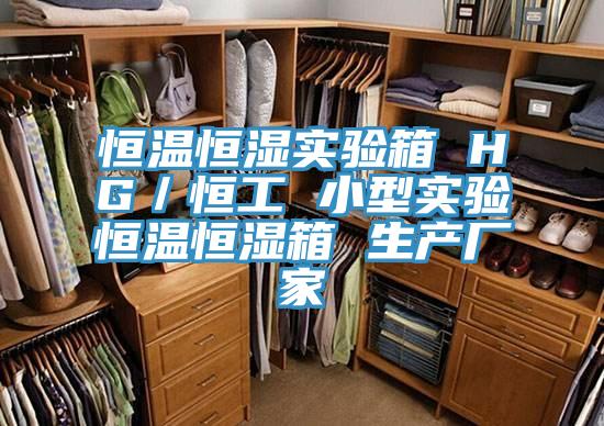 恒溫恒濕實驗箱 HG／恒工 小型實驗恒溫恒濕箱 生產廠家