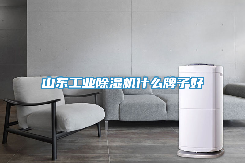 山東工業除濕機什么牌子好
