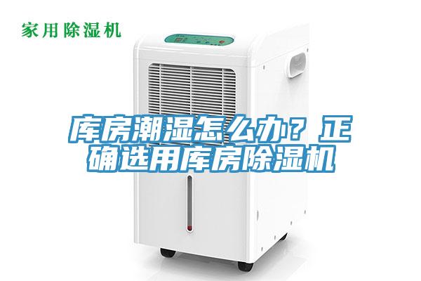 庫房潮濕怎么辦？正確選用庫房除濕機