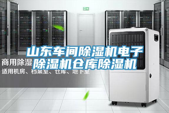 山東車間除濕機(jī)電子除濕機(jī)倉庫除濕機(jī)