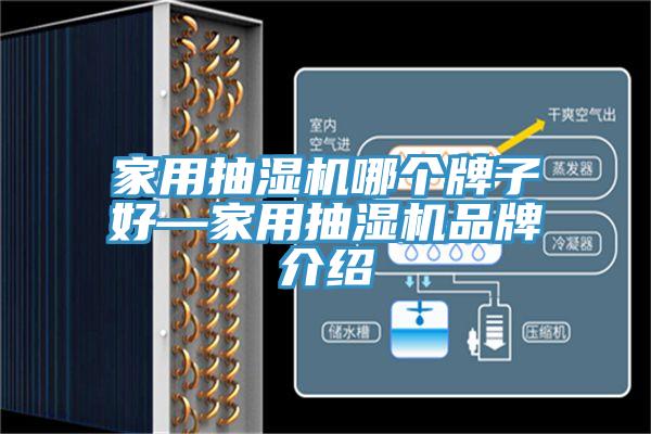 家用抽濕機哪個牌子好—家用抽濕機品牌介紹