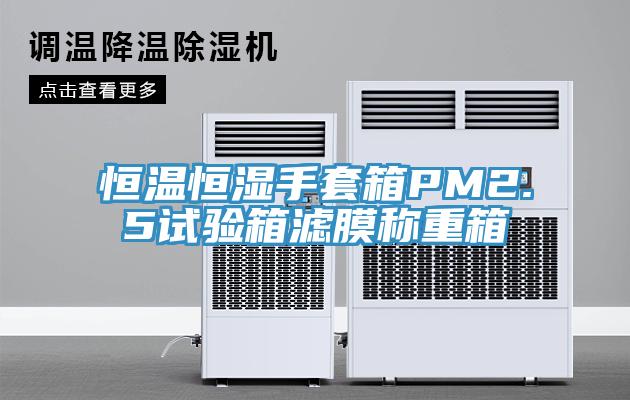 恒溫恒濕手套箱PM2.5試驗箱濾膜稱重箱