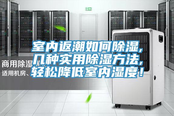 室內返潮如何除濕,幾種實用除濕方法,輕松降低室內濕度！