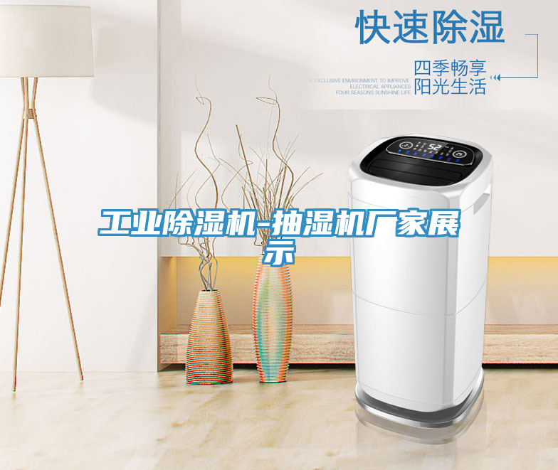 工業除濕機-抽濕機廠家展示