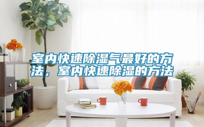 室內快速除濕氣最好的方法，室內快速除濕的方法