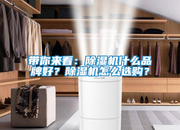 帶你來看：除濕機什么品牌好？除濕機怎么選購？