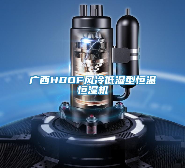 廣西HDDF風(fēng)冷低濕型恒溫恒濕機(jī)