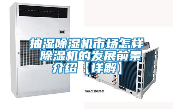 抽濕除濕機市場怎樣 除濕機的發展前景介紹【詳解】