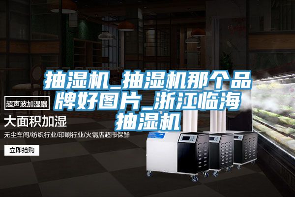 抽濕機_抽濕機那個品牌好圖片_浙江臨海抽濕機