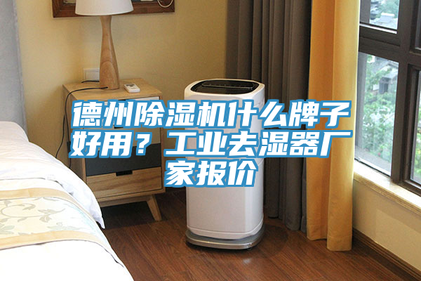 德州除濕機什么牌子好用？工業去濕器廠家報價