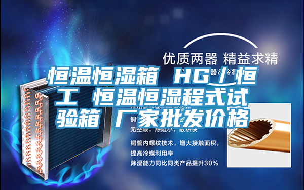 恒溫恒濕箱 HG／恒工 恒溫恒濕程式試驗箱 廠家批發價格