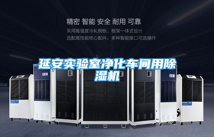 延安實驗室凈化車間用除濕機