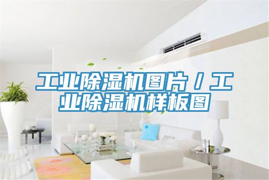 工業除濕機圖片／工業除濕機樣板圖
