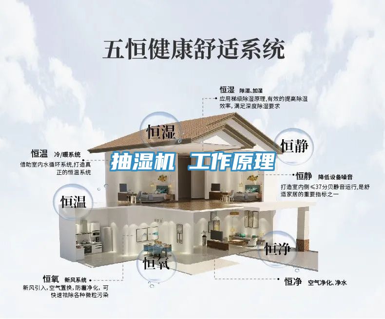 抽濕機 工作原理