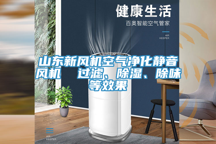 山東新風機空氣凈化靜音風機  過濾、除濕、除味等效果