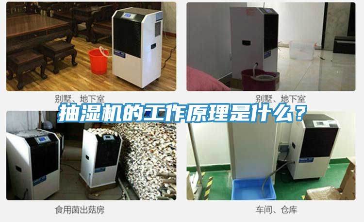抽濕機的工作原理是什么？