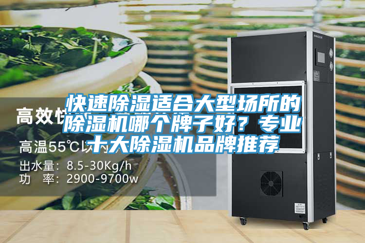 快速除濕適合大型場所的除濕機哪個牌子好？專業(yè)十大除濕機品牌推薦